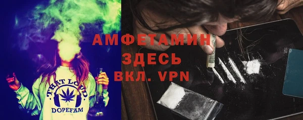 молекула духа Алексеевка