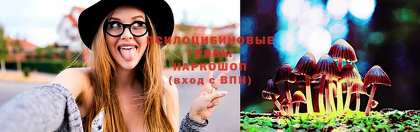 синтетический гашиш Алексин