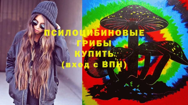 молекула духа Алексеевка