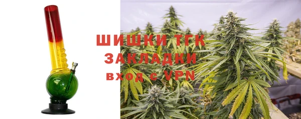 молекула духа Алексеевка